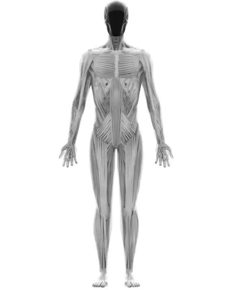 Clone Robotics Clone Alpha humanoid robot