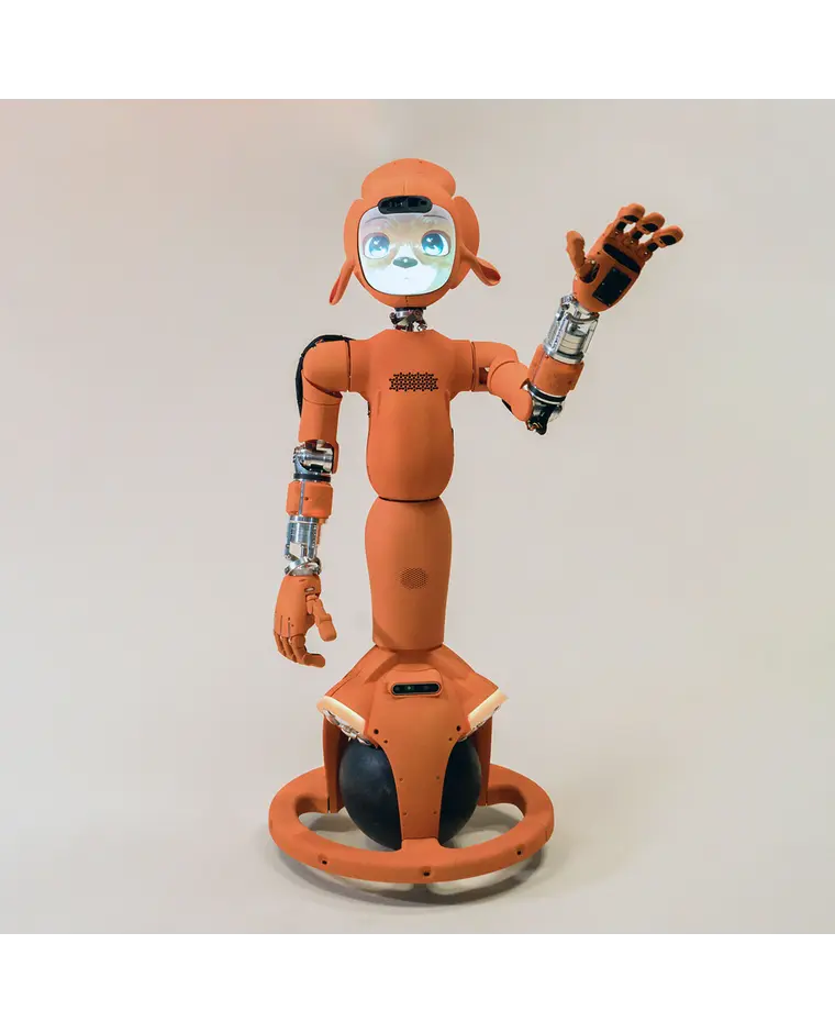 Enchanted Tools Mirokaï humanoid robot